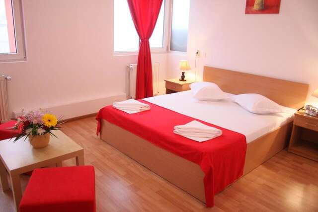 Отель Hotel Sir Gara de Nord Бухарест-40